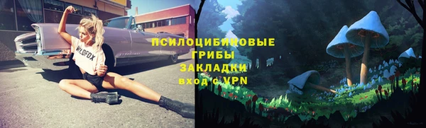 молекула духа Новозыбков