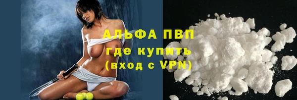 молекула духа Новозыбков