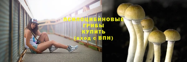 прущая мука Няндома