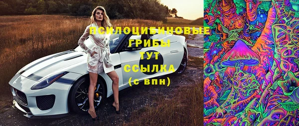 молекула духа Новозыбков