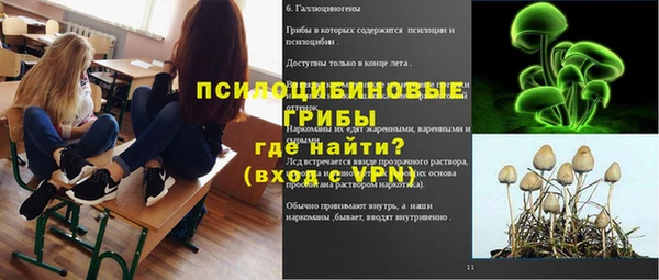 молекула духа Новозыбков