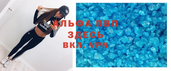 молекула духа Новозыбков