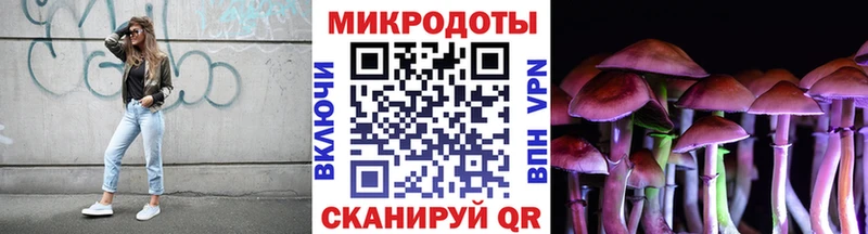 хочу наркоту  Куртамыш  Галлюциногенные грибы GOLDEN TEACHER 